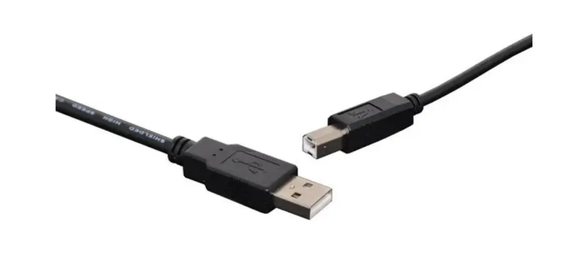 Picture of Dynalink A Male To B Male USB 2.0 Cable 2M